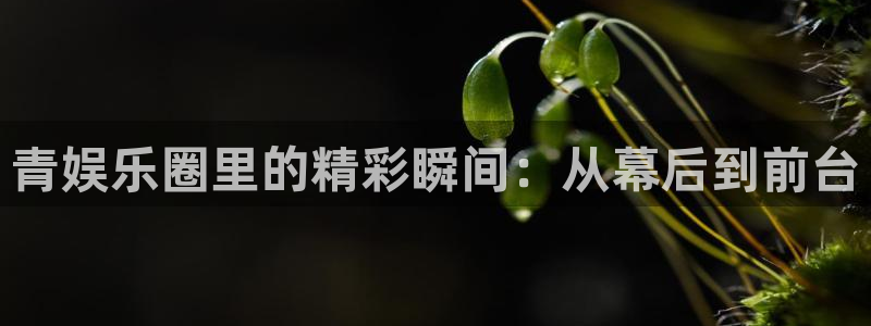 彩神vii官方：青娱乐圈里的精彩瞬间：从幕后到前台