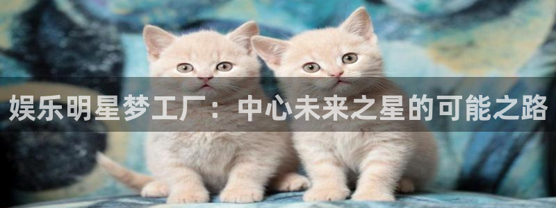 彩神vii官方：娱乐明星梦工厂：中心未来之星的可能之路