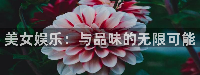 彩神vii官方