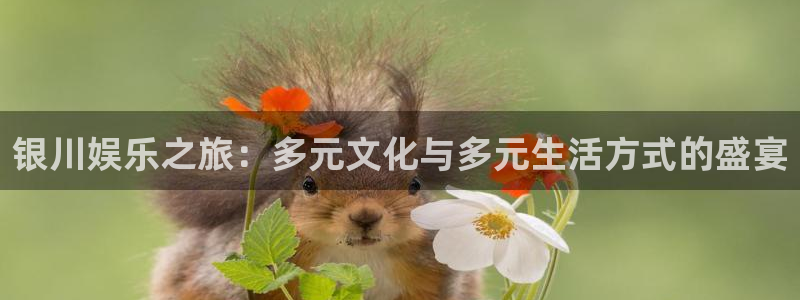 彩神vii官方
