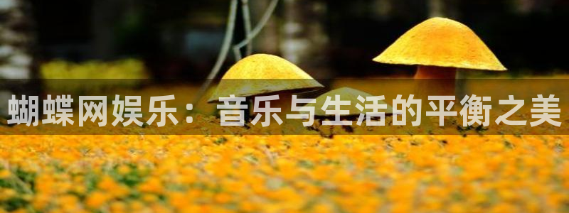 彩神vii官方