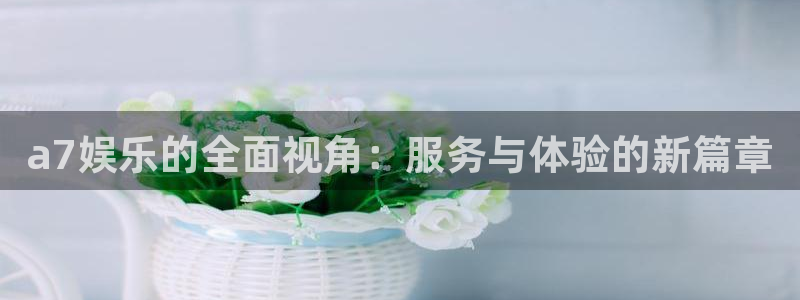 彩神vii官方