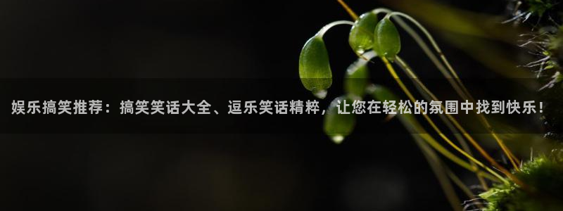 彩神vii官方：娱乐搞笑推荐：搞笑笑话大全、逗乐笑话精粹，让您在轻松的氛围中找到快乐！