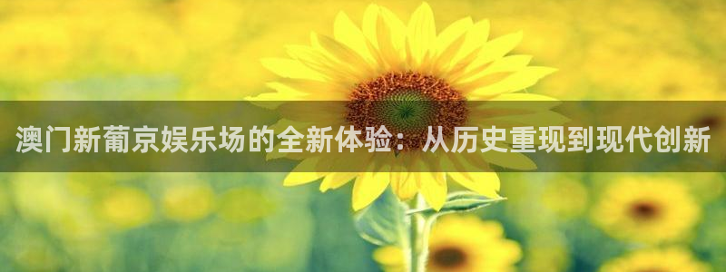 彩神vii官方：澳门新葡京娱乐场的全新体验：从历史重现到现代创新
