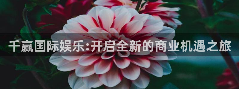 彩神vii官方：千赢国际娱乐:开启全新的商业机遇之旅